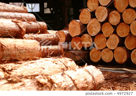 Timber placement of sawmills Hinoki log 4972927