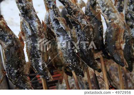 鹽烤三文魚 鹽烤三文魚 4972956