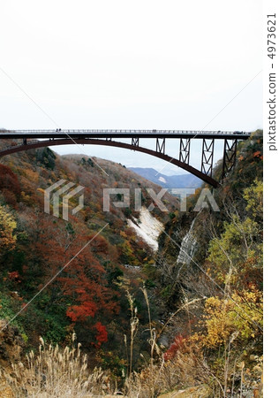 椿山谷秋天 椿山谷秋天 4973621