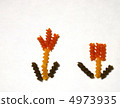 Macaroni 4973935