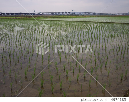 Countryside Countryside 4974185