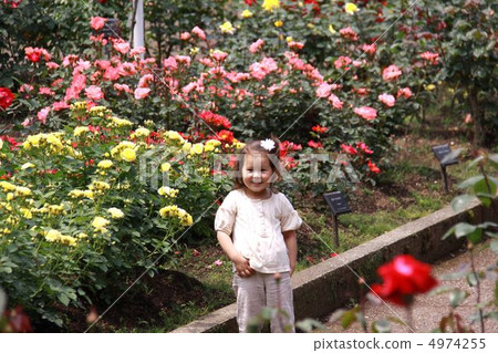 A girl surrounded by roses A girl surrounded by roses 4974255