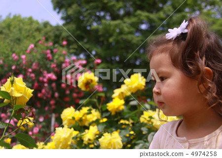A girl staring at a rose A girl staring at a rose 4974258
