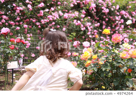 A girl in a rose garden 4974264