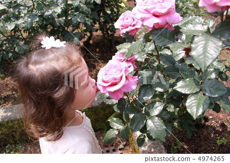A girl smelling the smell A girl smelling the smell 4974265