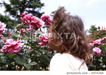 A girl sniffing a rose A girl sniffing a rose 4974266
