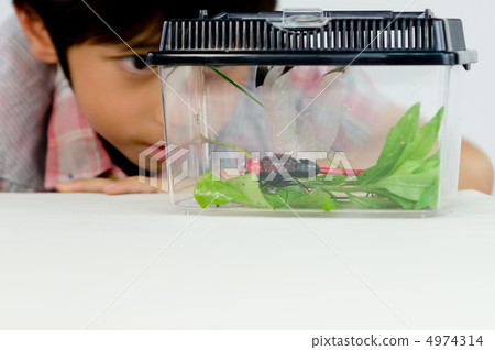 蟲子和男孩 4974314