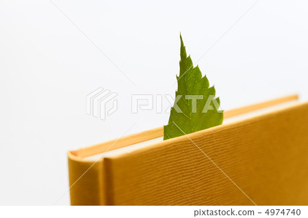 Books and leaves Books and leaves 4974740