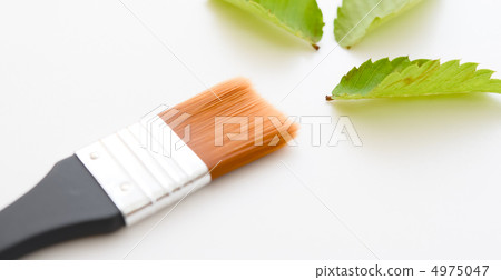 Leaves and brushes 4975047