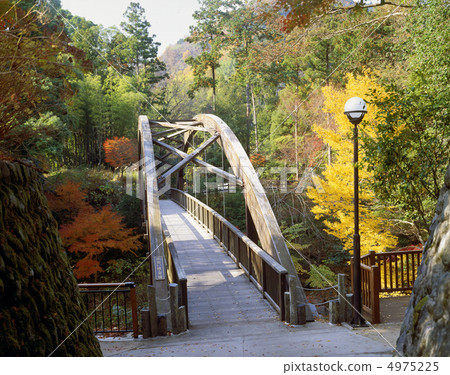 Autumn Yugashima Onsen Autumn Yugashima Onsen 4975225