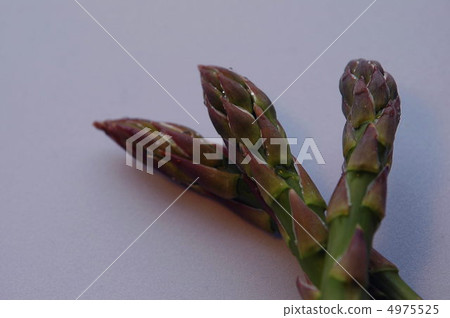 Asparagus 4975525