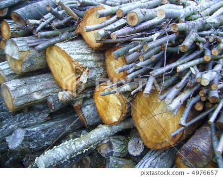 Firewood, firewood Firewood, firewood 4976657