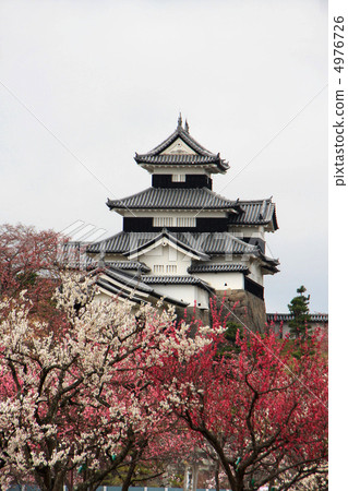 Plum blossoms and Komine castle 4976726