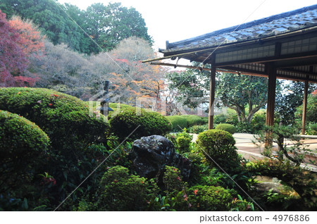 Fall of Kyoto Shiseido 4976886