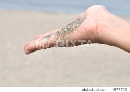 sand, sandy, palm 4977733
