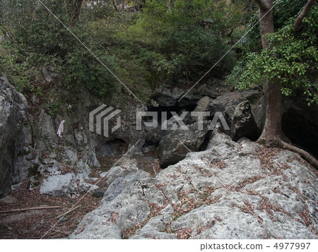 Shinsai Ryugu岩石 Shinsai Ryugu岩石 4977997