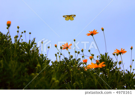 A monster flying dancing in the sky 4978161