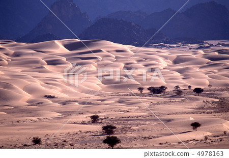 Dunes of the Sahara Desert Dunes of the Sahara Desert 4978163