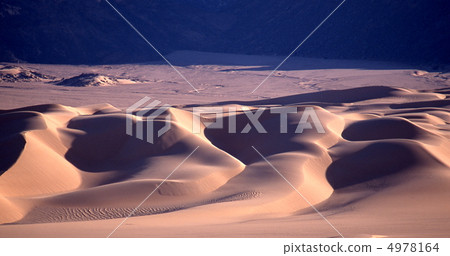 Dunes of the Sahara Desert Dunes of the Sahara Desert 4978164