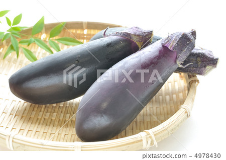 茄子 茄子 4978430