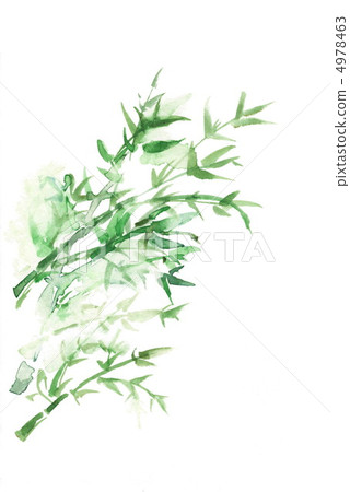 Bamboo leaf  4978463