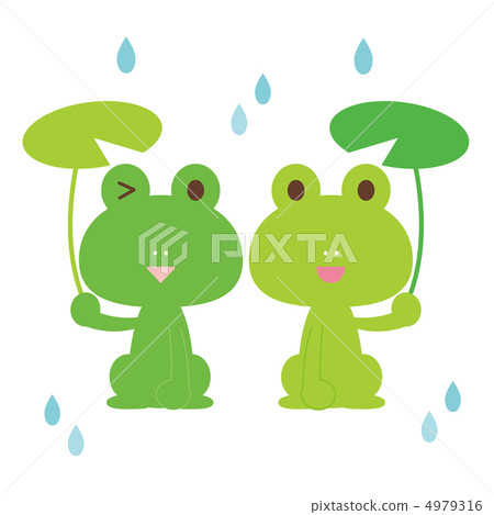 Frog season of the rainy season 4979316