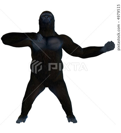 Gorilla 4979515