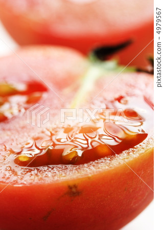 Tomato Tomato 4979567