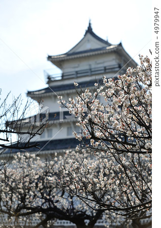 梅和島原城堡 4979947