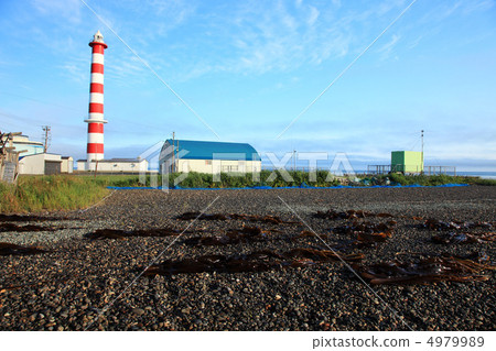 小屋海角燈塔和Konbu釣魚 小屋海角燈塔和Konbu釣魚 4979989