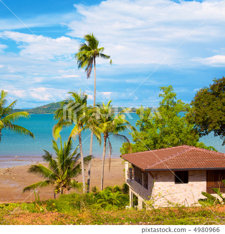 Tropical Resort 4980966