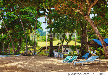 Tropical Resort Tropical Resort 4981046