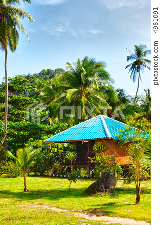 Tropical Resort Tropical Resort 4981091