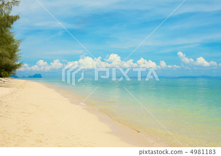 Tropical Beach Tropical Beach 4981183
