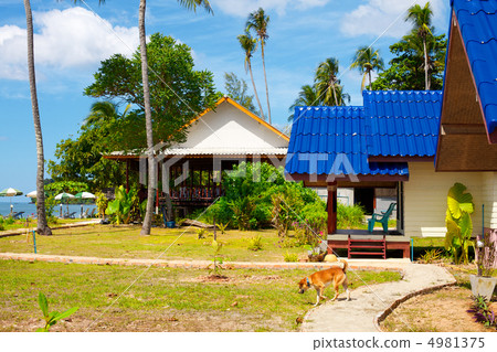 Tropical Resort Tropical Resort 4981375