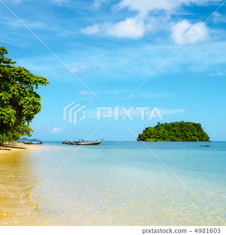 Tropical Beach 4981603
