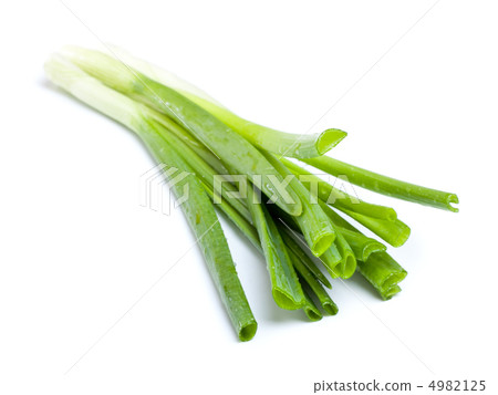 Fresh Leek 4982125