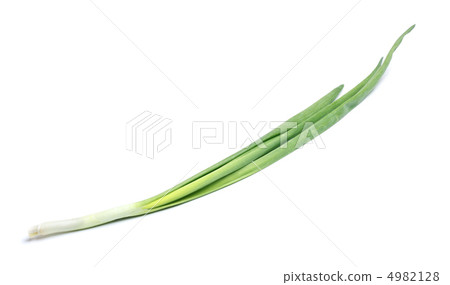 Fresh Leek 4982128