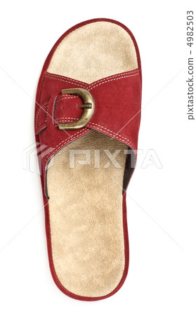 red slipper 4982503