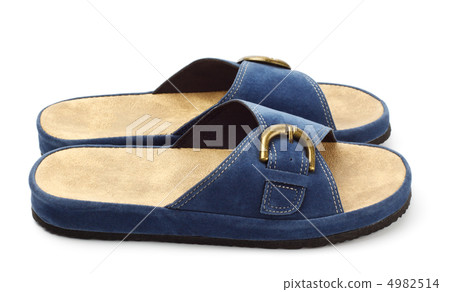 blue slippers blue slippers 4982514