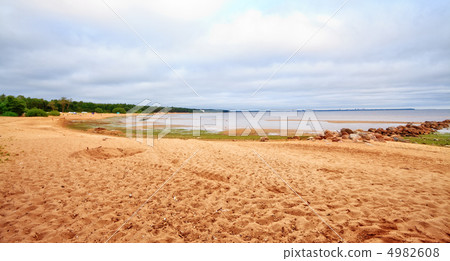 Beach In Summer Beach In Summer 4982608