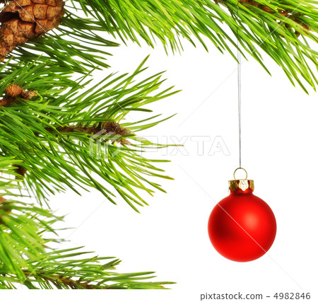 decoration ball on pine branch 4982846