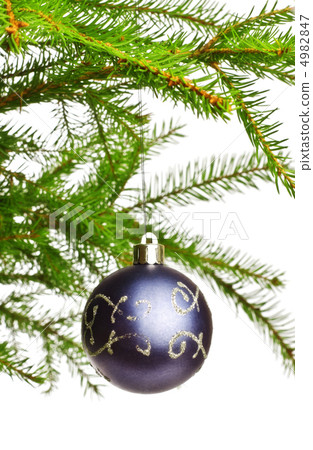 decoration ball on fir branch decoration ball on fir branch 4982847