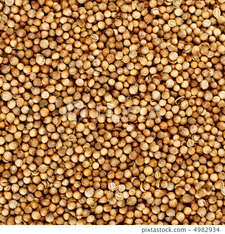 coriander seeds 4982934