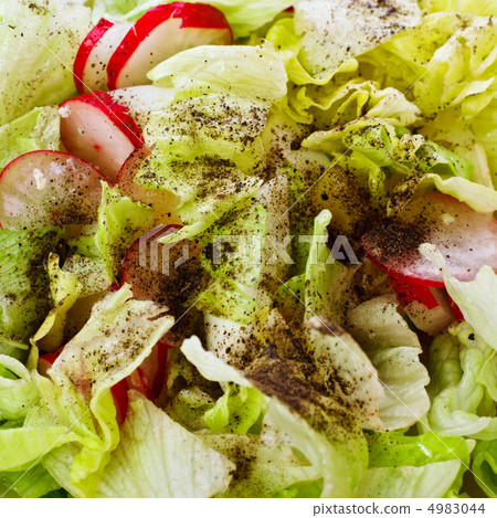 Fresh Salad Fresh Salad 4983044