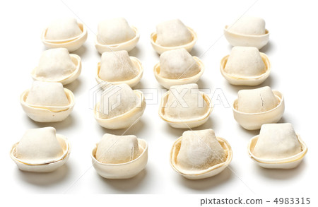 Raw Meat Dumplings 4983315