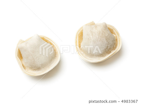 Raw Meat Dumplings Raw Meat Dumplings 4983367