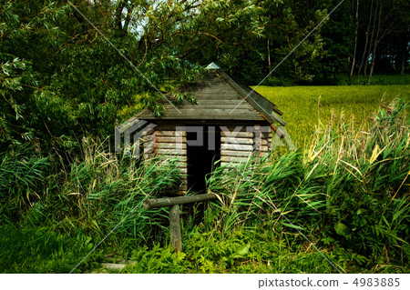 Wooden Cabin 4983885