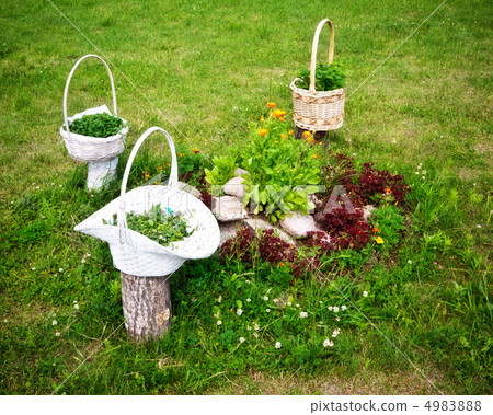 Baskets With Flowers Baskets With Flowers 4983888