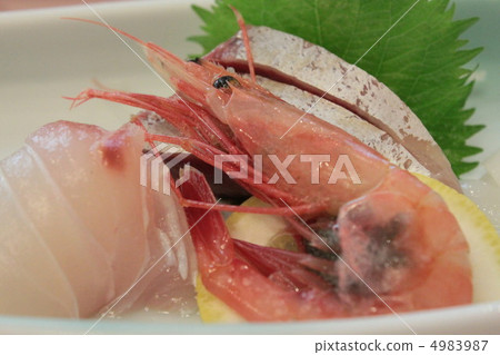 sashimi sashimi 4983987